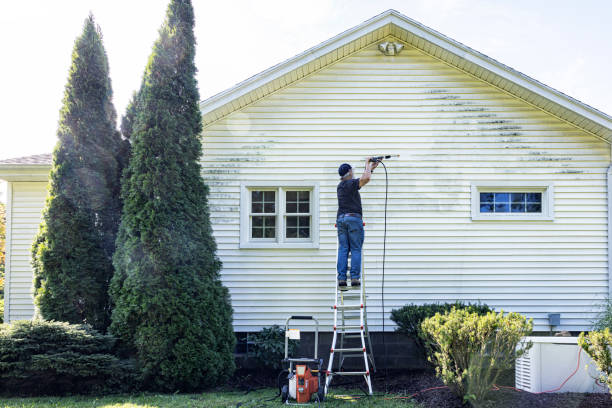 Best Roof Pressure Washing  in Conrad, IA