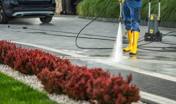 Best Deck Cleaning Services  in Conrad, IA
